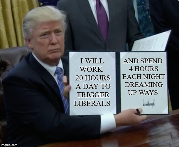 Trump Bill Signing | I WILL WORK   20 HOURS A DAY TO TRIGGER LIBERALS; AND SPEND 4 HOURS EACH NIGHT DREAMING UP WAYS | image tagged in memes,trump bill signing,triggered liberal | made w/ Imgflip meme maker