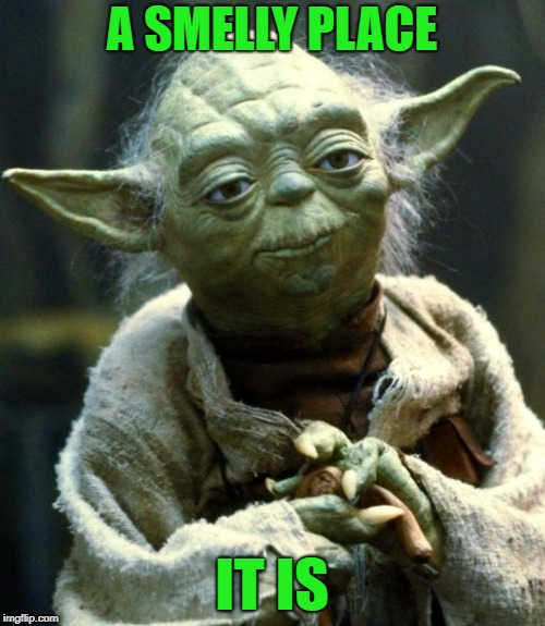 Star Wars Yoda Meme | A SMELLY PLACE IT IS | image tagged in memes,star wars yoda | made w/ Imgflip meme maker