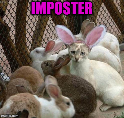 Imposter  | IMPOSTER | image tagged in imposter | made w/ Imgflip meme maker