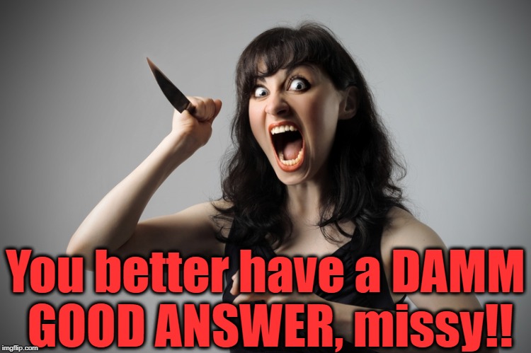 Angry woman | You better have a DAMM GOOD ANSWER, missy!! | image tagged in angry woman | made w/ Imgflip meme maker