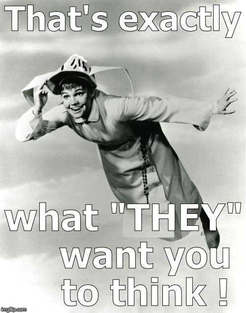 The Flying Nun | That's exactly what "THEY"    want you    to think ! | image tagged in the flying nun | made w/ Imgflip meme maker