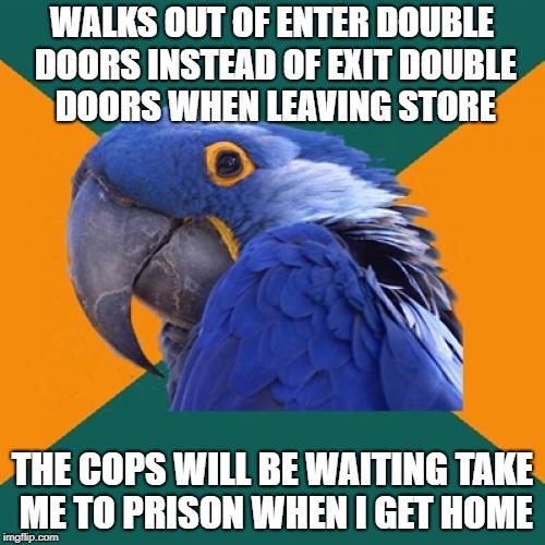 Oh, come on! Is walking out the enter double doors really that big of a deal? | WALKS OUT OF ENTER DOUBLE DOORS INSTEAD OF EXIT DOUBLE DOORS WHEN LEAVING STORE; THE COPS WILL BE WAITING TAKE ME TO PRISON WHEN I GET HOME | image tagged in memes,paranoid parrot | made w/ Imgflip meme maker