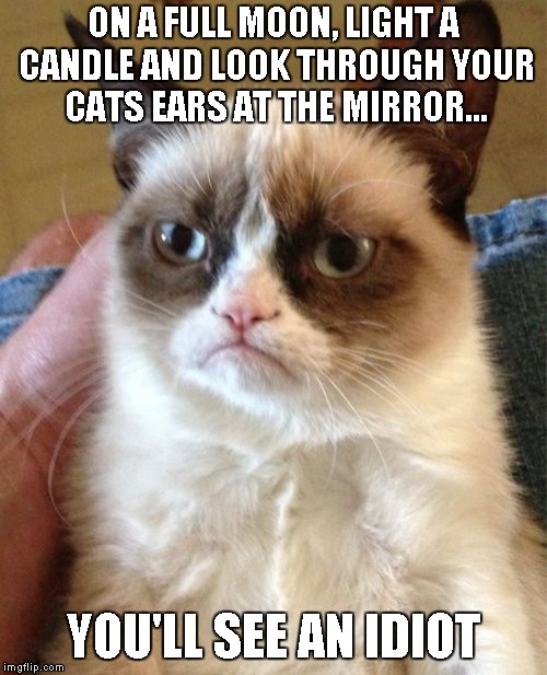 Grumpy Cat | ON A FULL MOON, LIGHT A CANDLE AND LOOK THROUGH YOUR CATS EARS AT THE MIRROR... YOU'LL SEE AN IDIOT | image tagged in memes,grumpy cat | made w/ Imgflip meme maker