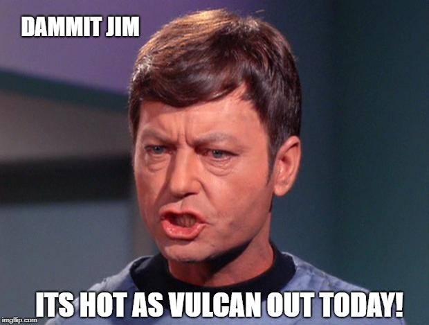 mccoy | DAMMIT JIM; ITS HOT AS VULCAN OUT TODAY! | image tagged in mccoy | made w/ Imgflip meme maker