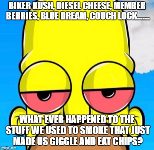 BIKER KUSH, DIESEL CHEESE, MEMBER BERRIES, BLUE DREAM, COUCH LOCK....... WHAT EVER HAPPENED TO THE STUFF WE USED TO SMOKE THAT JUST MADE US GIGGLE AND EAT CHIPS? | image tagged in stoned,high,loaded,blazed up,smoked up | made w/ Imgflip meme maker