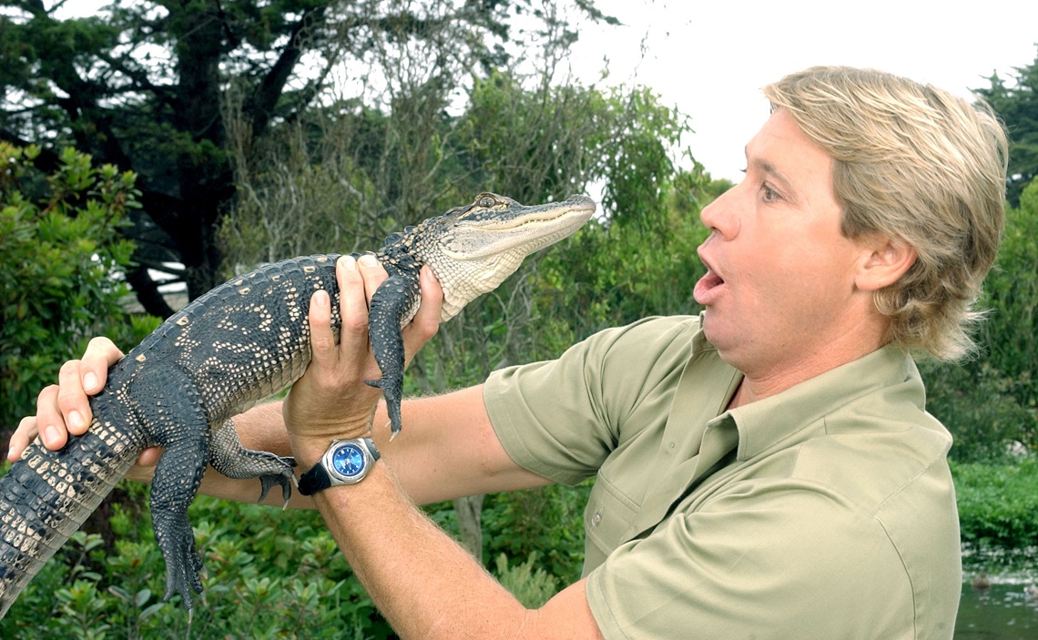 Steve Irwin Blank Meme Template