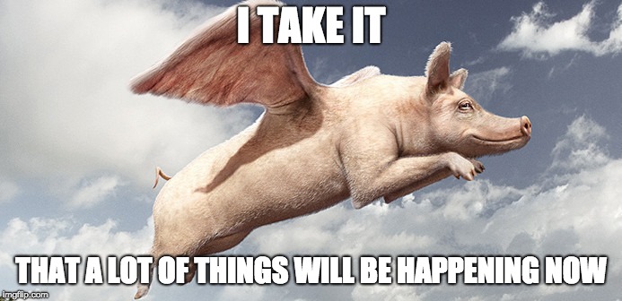 Things will happen now that pigs fly | I TAKE IT; THAT A LOT OF THINGS WILL BE HAPPENING NOW | image tagged in pigflying,whenpigsfly,memes | made w/ Imgflip meme maker