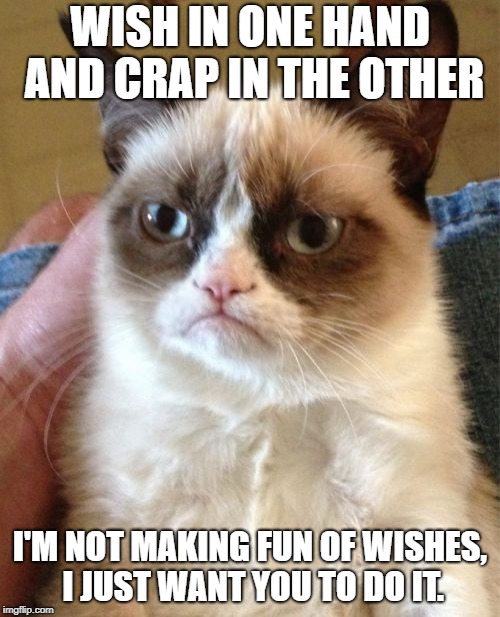 Grumpy Cat Meme | WISH IN ONE HAND AND CRAP IN THE OTHER; I'M NOT MAKING FUN OF WISHES, I JUST WANT YOU TO DO IT. | image tagged in memes,grumpy cat | made w/ Imgflip meme maker