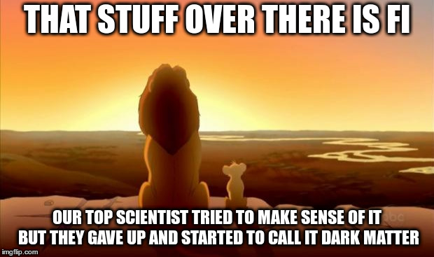 MUFASA AND SIMBA | THAT STUFF OVER THERE IS FI; OUR TOP SCIENTIST TRIED TO MAKE SENSE OF IT BUT THEY GAVE UP AND STARTED TO CALL IT DARK MATTER | image tagged in mufasa and simba | made w/ Imgflip meme maker