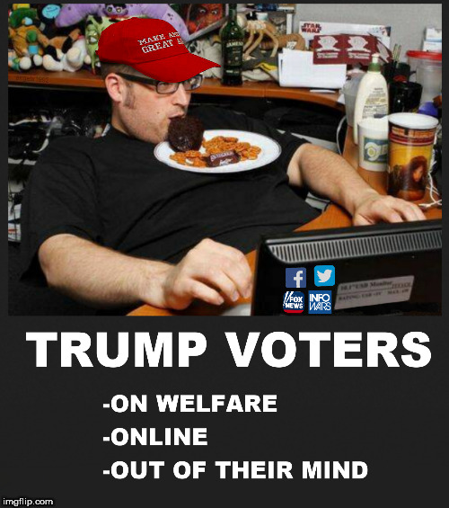 trump voters | image tagged in trump supporters,trump supporter,fox news,infowars,twitter,facebook | made w/ Imgflip meme maker