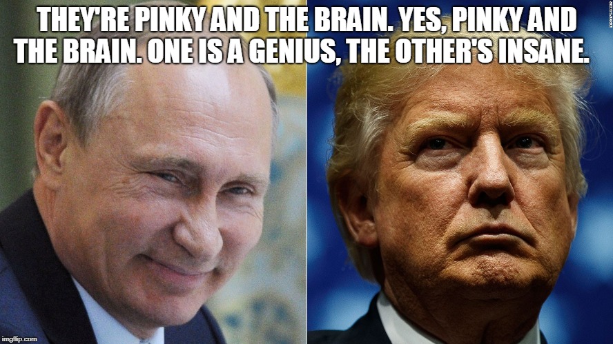 THEY'RE PINKY AND THE BRAIN.
YES, PINKY AND THE BRAIN.
ONE IS A GENIUS, THE OTHER'S INSANE. | image tagged in putin trump | made w/ Imgflip meme maker