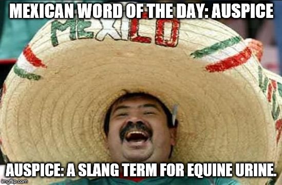 mexican word of the day | MEXICAN WORD OF THE DAY: AUSPICE; AUSPICE: A SLANG TERM FOR EQUINE URINE. | image tagged in mexican word of the day | made w/ Imgflip meme maker