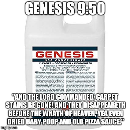 GENESIS 9:50; "AND THE LORD COMMANDED, CARPET STAINS BE GONE! AND THEY DISAPPEARETH BEFORE THE WRATH OF HEAVEN, YEA EVEN DRIED BABY POOP AND OLD PIZZA SAUCE." | image tagged in genesis 950,cleaning product,humor | made w/ Imgflip meme maker