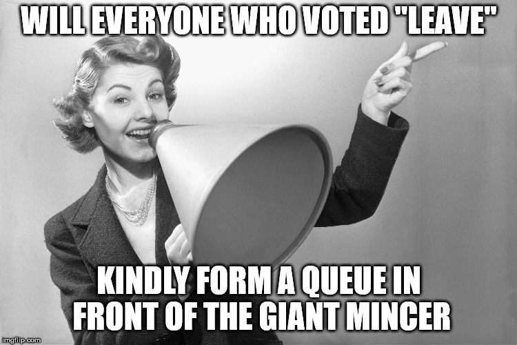 No Deal Brexit | WILL EVERYONE WHO VOTED "LEAVE"; KINDLY FORM A QUEUE IN FRONT OF THE GIANT MINCER | image tagged in brexit,no deal,food | made w/ Imgflip meme maker