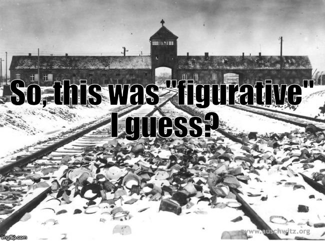 Auschwitz | So, this was "figurative" I guess? | image tagged in auschwitz | made w/ Imgflip meme maker