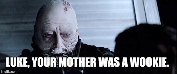 Vader's last words | LUKE, YOUR MOTHER WAS A WOOKIE. | image tagged in darth vader | made w/ Imgflip meme maker