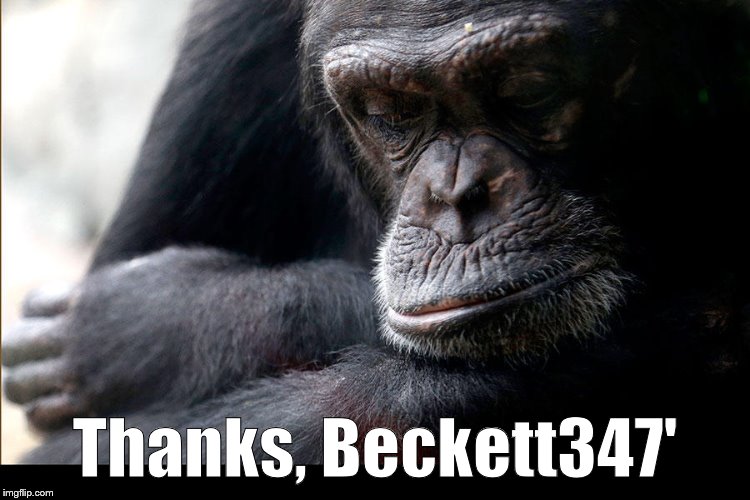 Koko | Thanks, Beckett347' | image tagged in koko | made w/ Imgflip meme maker