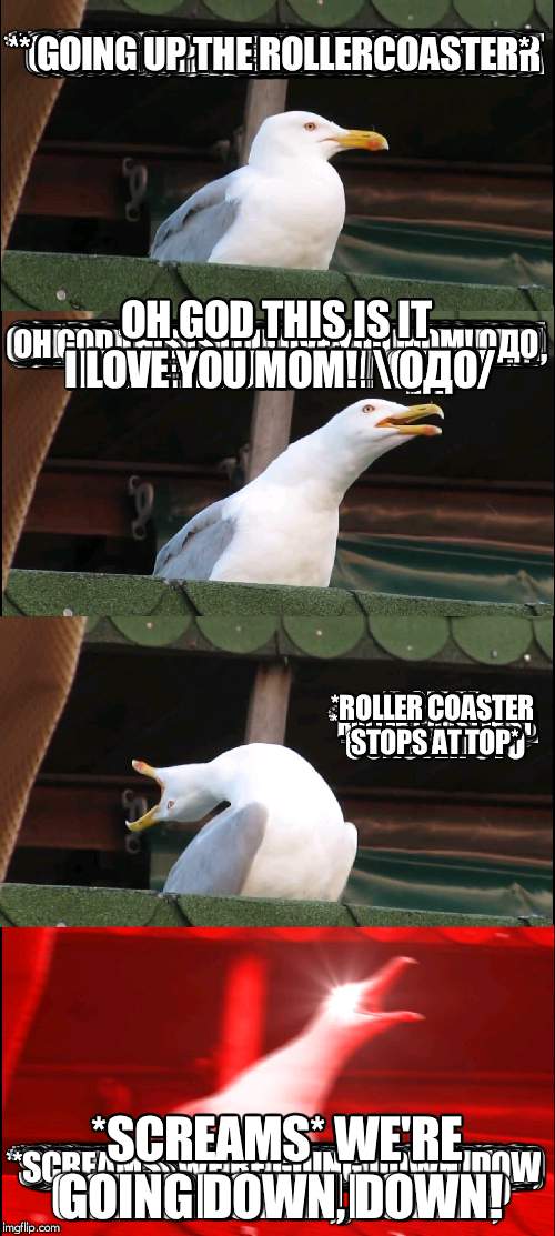Me on a roller coaster | * GOING UP THE ROLLERCOASTER*; OH GOD THIS IS IT I LOVE YOU MOM!  \ ОДО/; *ROLLER COASTER STOPS AT TOP*; *SCREAMS* WE'RE GOING DOWN, DOWN! | image tagged in fall out boy,inhaling seagull,roller coaster | made w/ Imgflip meme maker