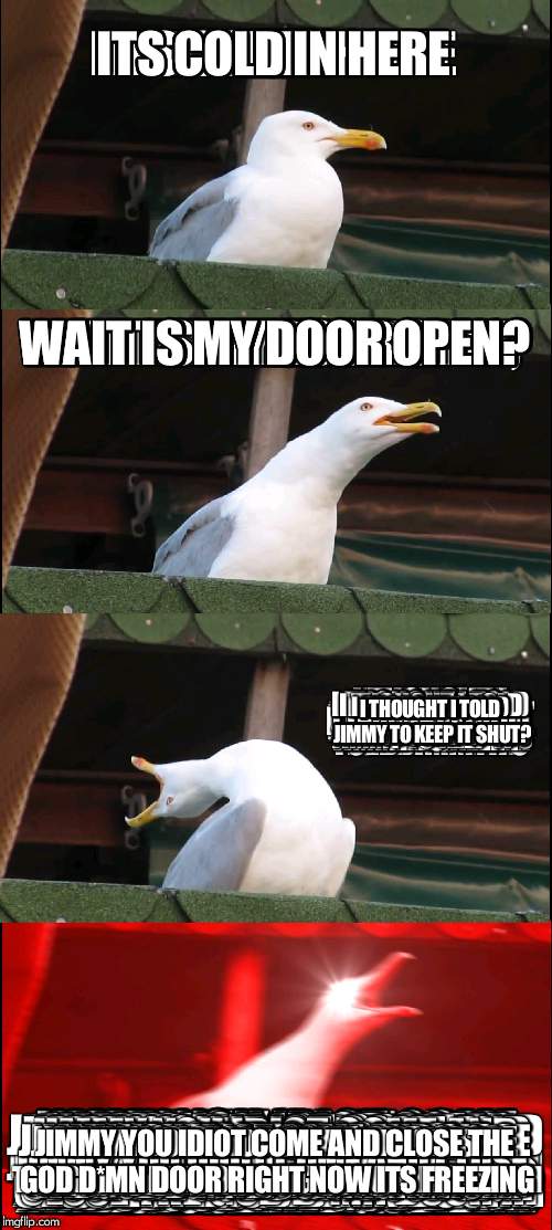 Gosh dang it jimmy every frickin time! | ITS COLD IN HERE; WAIT IS MY DOOR OPEN? I THOUGHT I TOLD JIMMY TO KEEP IT SHUT? JIMMY YOU IDIOT COME AND CLOSE THE GOD D*MN DOOR RIGHT NOW ITS FREEZING | image tagged in memes,inhaling seagull | made w/ Imgflip meme maker