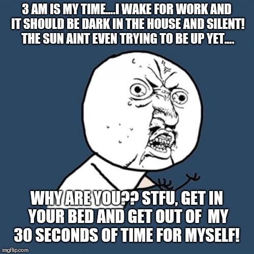 Y U No Meme | 3 AM IS MY TIME....I WAKE FOR WORK AND IT SHOULD BE DARK IN THE HOUSE AND SILENT! THE SUN AINT EVEN TRYING TO BE UP YET.... WHY ARE YOU?? STFU, GET IN YOUR BED AND GET OUT OF  MY 30 SECONDS OF TIME FOR MYSELF! | image tagged in memes,y u no | made w/ Imgflip meme maker
