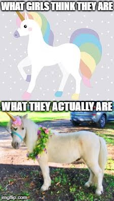 Perception vs Reality | WHAT GIRLS THINK THEY ARE; WHAT THEY ACTUALLY ARE | image tagged in dating,unicorns,selfies | made w/ Imgflip meme maker
