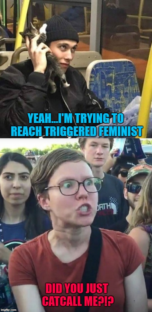 I'll bet there's some serious "roaming" charges... | YEAH...I'M TRYING TO REACH TRIGGERED FEMINIST; DID YOU JUST CATCALL ME?!? | image tagged in cat calling triggered feminist,memes,triggered feminist,cat calling,funny,cats | made w/ Imgflip meme maker