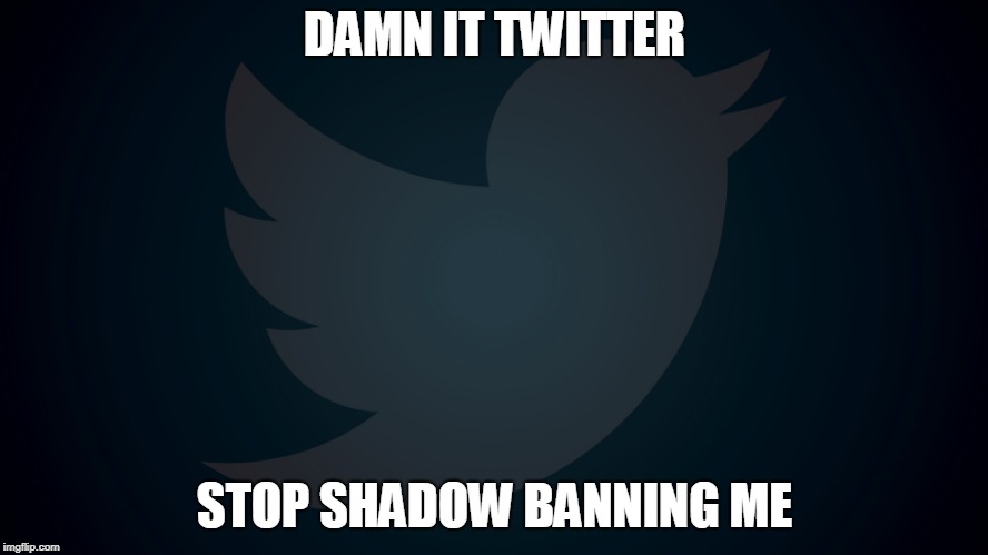 twitter shadow ban | DAMN IT TWITTER; STOP SHADOW BANNING ME | image tagged in twitter | made w/ Imgflip meme maker