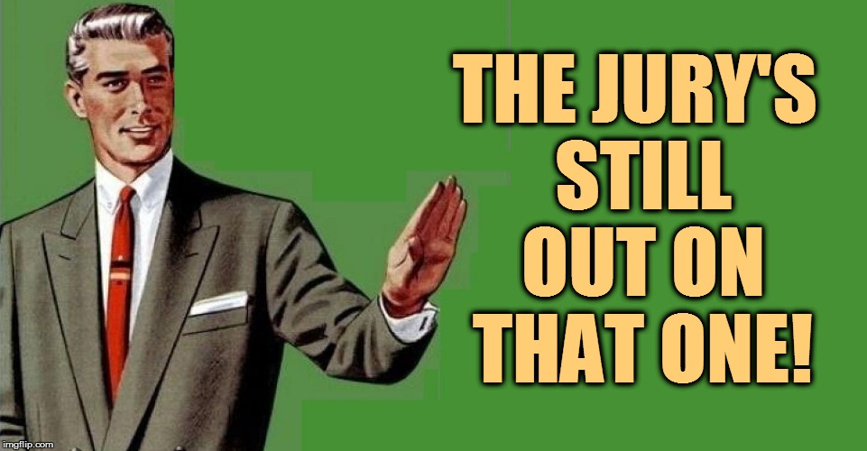 THE JURY'S STILL OUT ON THAT ONE! | made w/ Imgflip meme maker