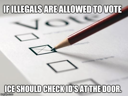 Voting Ballot | IF ILLEGALS ARE ALLOWED TO VOTE; ICE SHOULD CHECK ID'S AT THE DOOR. | image tagged in voting ballot | made w/ Imgflip meme maker