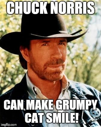 Chuck Norris Meme | CHUCK NORRIS CAN MAKE GRUMPY CAT SMILE! | image tagged in memes,chuck norris | made w/ Imgflip meme maker