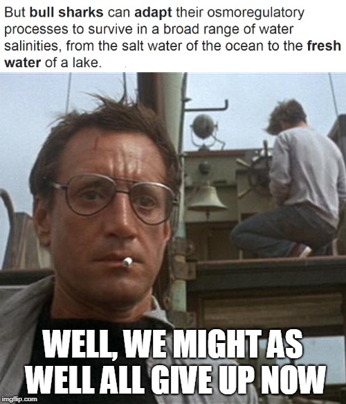 Bulll sharks can adapt to salt water and fresh water: Shark Week | WELL, WE MIGHT AS WELL ALL GIVE UP NOW | image tagged in funny,jaws,sharks,shark week,movies | made w/ Imgflip meme maker