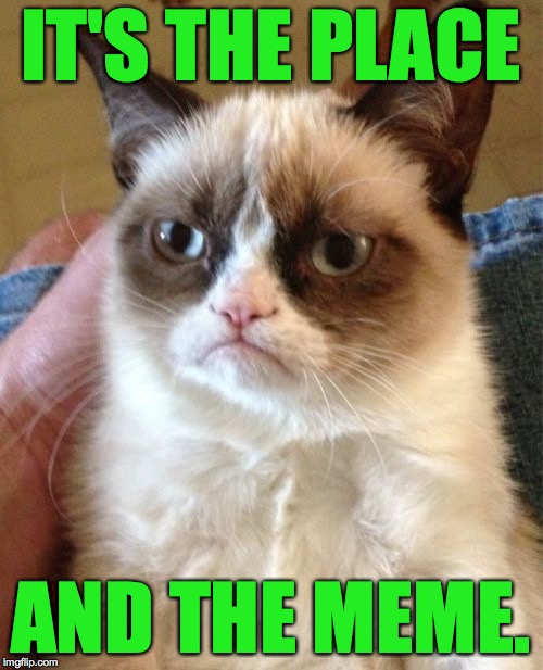 Grumpy Cat Meme | IT'S THE PLACE AND THE MEME. | image tagged in memes,grumpy cat | made w/ Imgflip meme maker