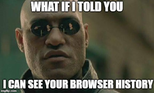 I know what you search on the internet | WHAT IF I TOLD YOU; I CAN SEE YOUR BROWSER HISTORY | image tagged in memes,matrix morpheus,browser history | made w/ Imgflip meme maker