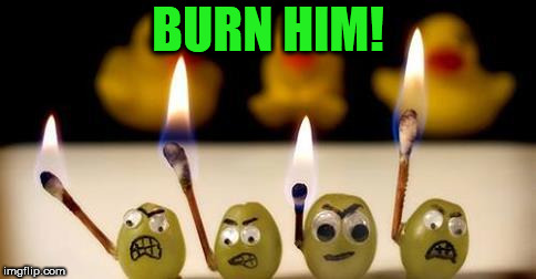 angry grapes | BURN HIM! | image tagged in angry grapes | made w/ Imgflip meme maker