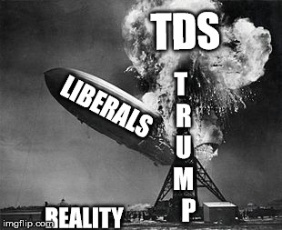 TDS; T R U M   P; LIBERALS; REALITY | made w/ Imgflip meme maker
