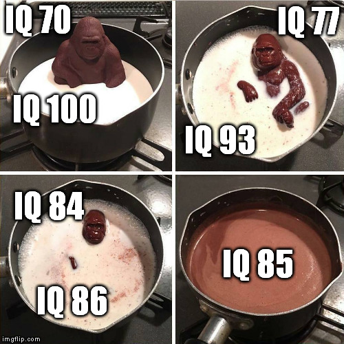 Melting Pot | IQ 77; IQ 70; IQ 100; IQ 93; IQ 84; IQ 85; IQ 86 | image tagged in chocolate gorilla | made w/ Imgflip meme maker