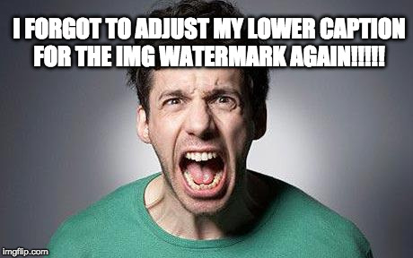 shouting | I FORGOT TO ADJUST MY LOWER CAPTION FOR THE IMG WATERMARK AGAIN!!!!! | image tagged in shouting | made w/ Imgflip meme maker