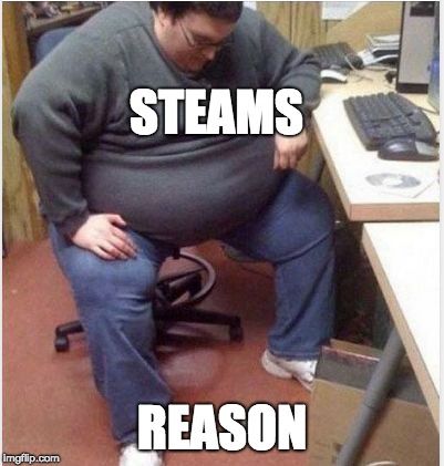 STEAMS; REASON | image tagged in fsallendisk | made w/ Imgflip meme maker