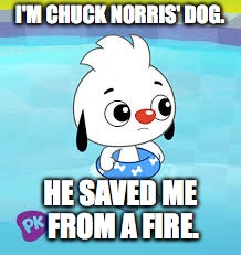 Chuck Norris' Dog | I'M CHUCK NORRIS' DOG. HE SAVED ME FROM A FIRE. | image tagged in chuck norris | made w/ Imgflip meme maker