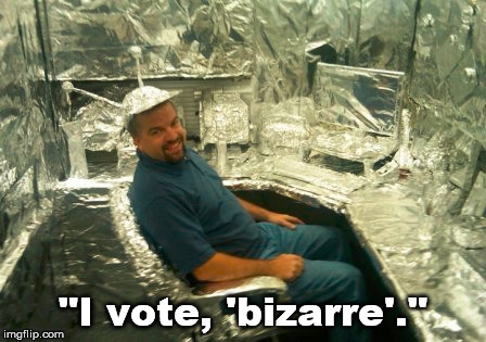 "I vote, 'bizarre'." | made w/ Imgflip meme maker