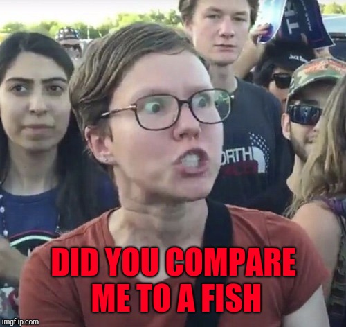 Triggered feminist | DID YOU COMPARE ME TO A FISH | image tagged in triggered feminist | made w/ Imgflip meme maker
