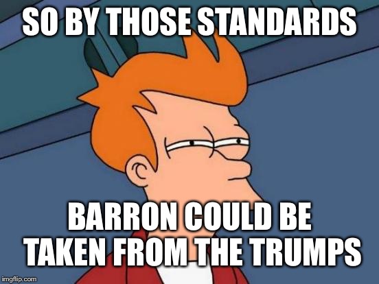 Futurama Fry Meme | SO BY THOSE STANDARDS BARRON COULD BE TAKEN FROM THE TRUMPS | image tagged in memes,futurama fry | made w/ Imgflip meme maker