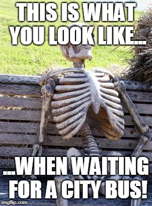 Waiting Skeleton | THIS IS WHAT YOU LOOK LIKE... ...WHEN WAITING FOR A CITY BUS! | image tagged in memes,waiting skeleton | made w/ Imgflip meme maker