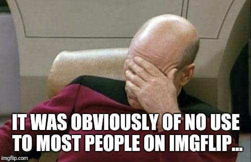 Captain Picard Facepalm Meme | IT WAS OBVIOUSLY OF NO USE TO MOST PEOPLE ON IMGFLIP... | image tagged in memes,captain picard facepalm | made w/ Imgflip meme maker