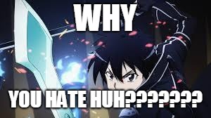 SAO | WHY YOU HATE HUH??????? | image tagged in sao | made w/ Imgflip meme maker
