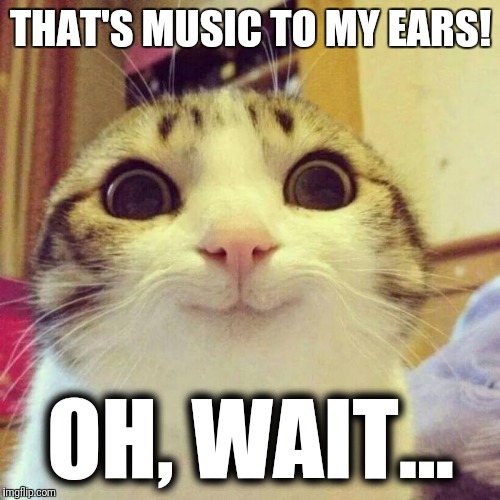 Smiling Cat Meme | THAT'S MUSIC TO MY EARS! OH, WAIT... | image tagged in memes,smiling cat | made w/ Imgflip meme maker