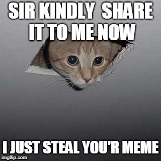 Ceiling Cat | SIR KINDLY  SHARE IT TO ME NOW; I JUST STEAL YOU'R MEME | image tagged in memes,ceiling cat | made w/ Imgflip meme maker