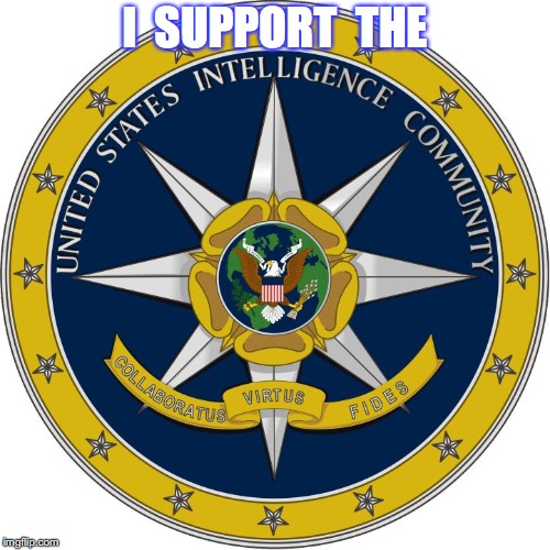 United States Intelligence Community | I  SUPPORT  THE | image tagged in army,coast guard,homeland security,fbi,cia,nsa | made w/ Imgflip meme maker
