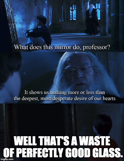 Waste | WELL THAT'S A WASTE OF PERFECTLY GOOD GLASS. | image tagged in harry potter mirror | made w/ Imgflip meme maker