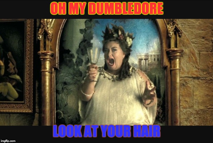 hair | OH MY DUMBLEDORE; LOOK AT YOUR HAIR | image tagged in harry potter opera portrait | made w/ Imgflip meme maker